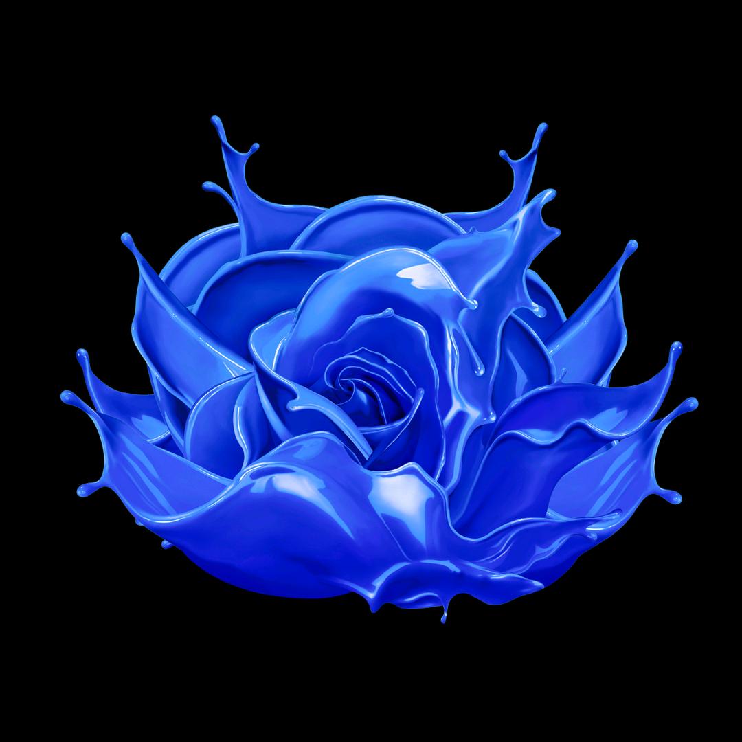 口碑汽车涂料俱乐部