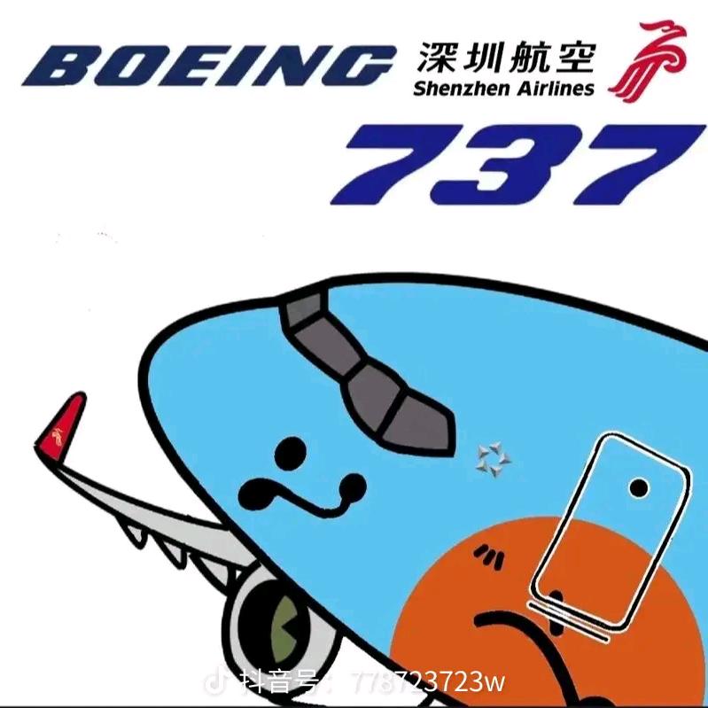 一架深圳航空的波音737