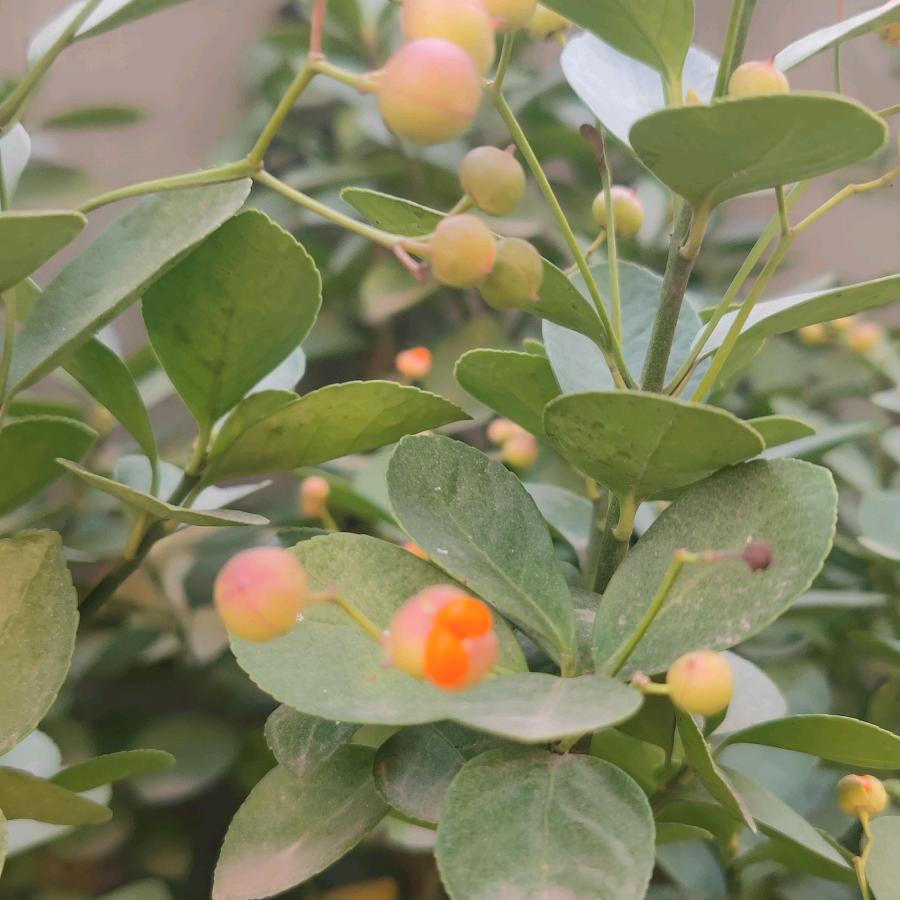 听风听雨就是不听……