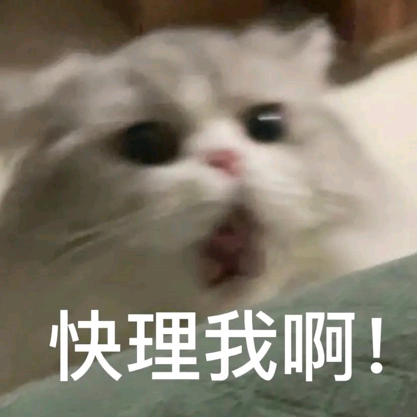 缆车（三角洲行动）