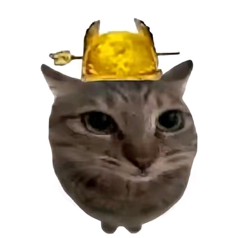 苏(￣o￣) . z Z