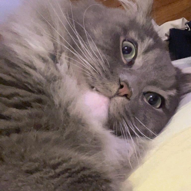 JANE