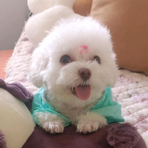 淡淡💕一笑💋