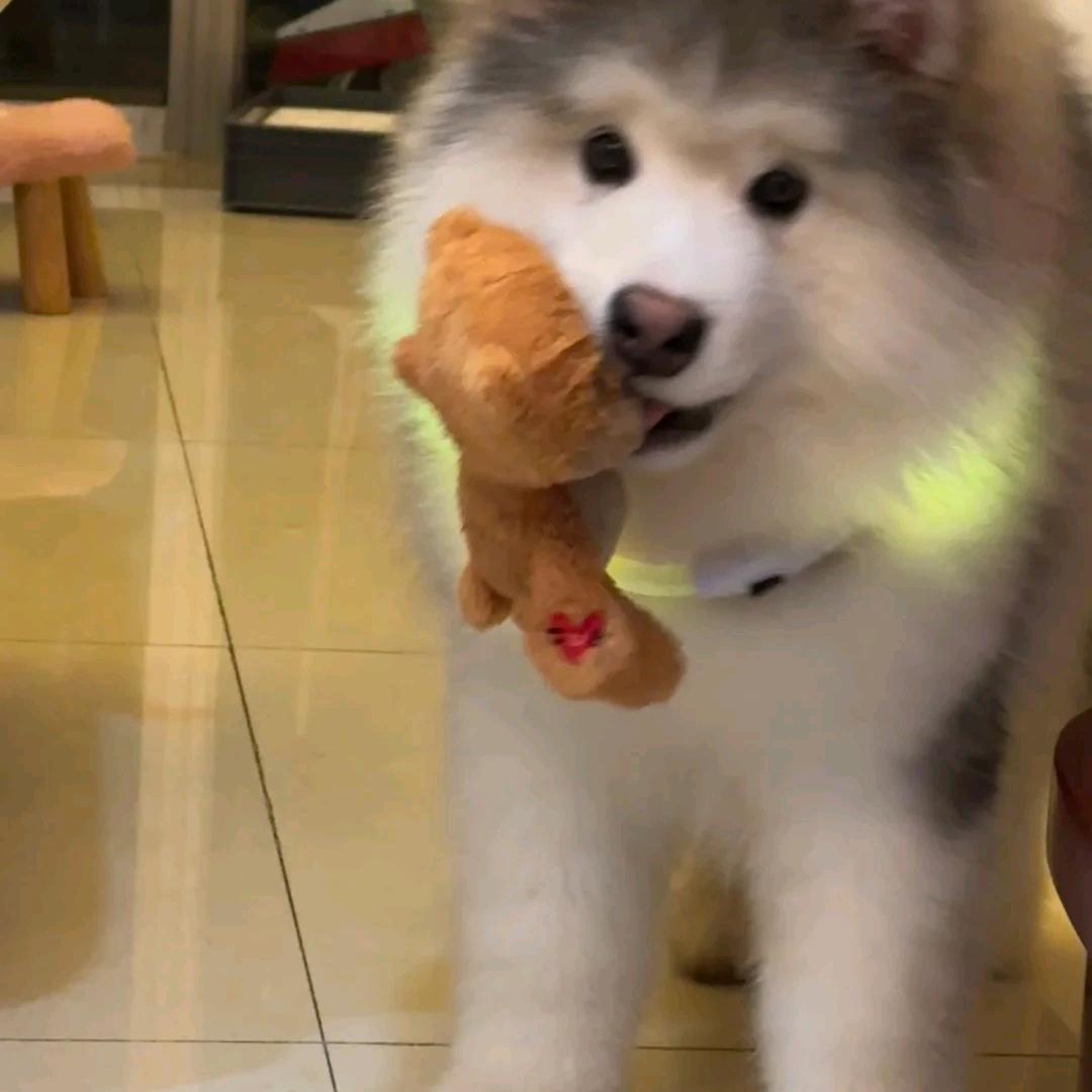 1204