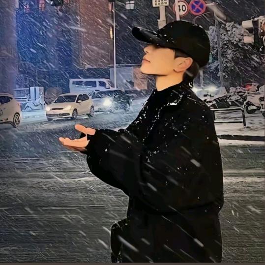 南方没有北