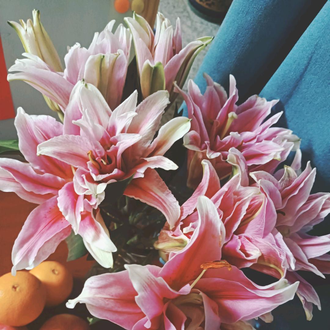 围场鑫围赛罕食府