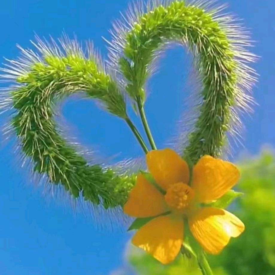 ꦿ@ᨶ႒ᩚ心想事陈