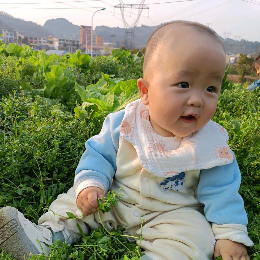 🍎莫莫有李🍎