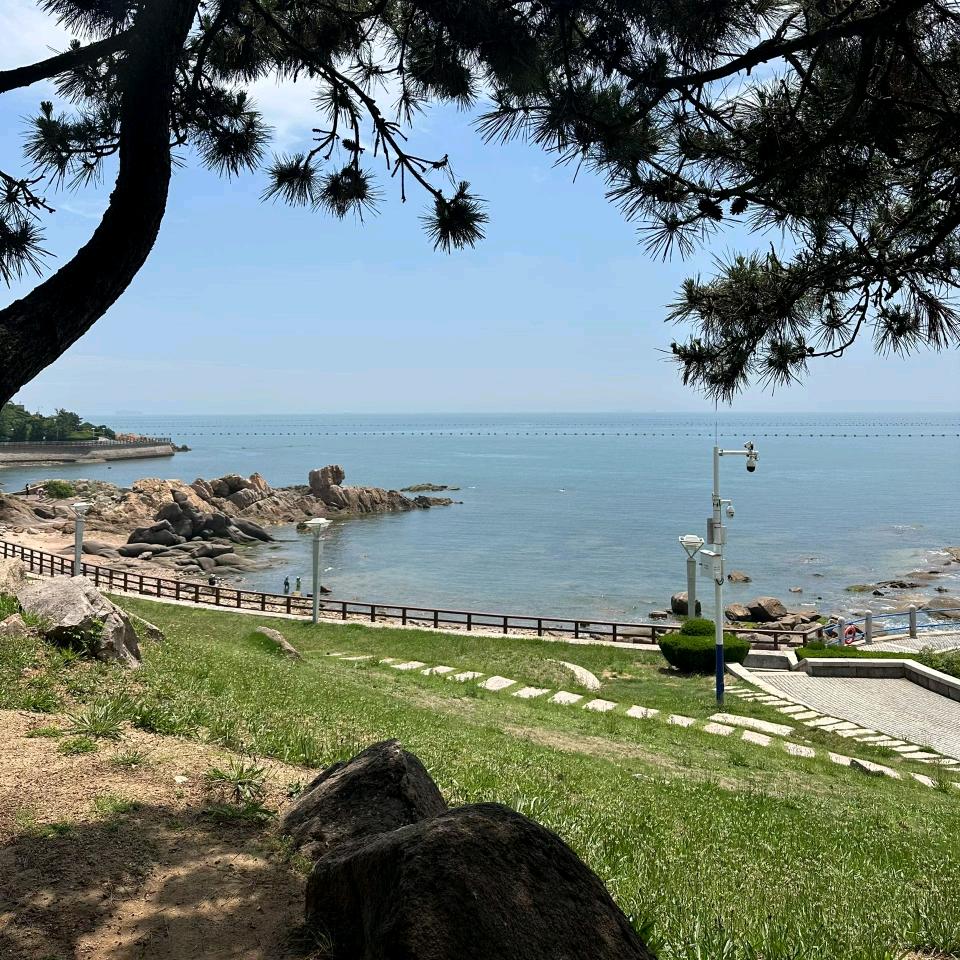 红玫瑰红又红