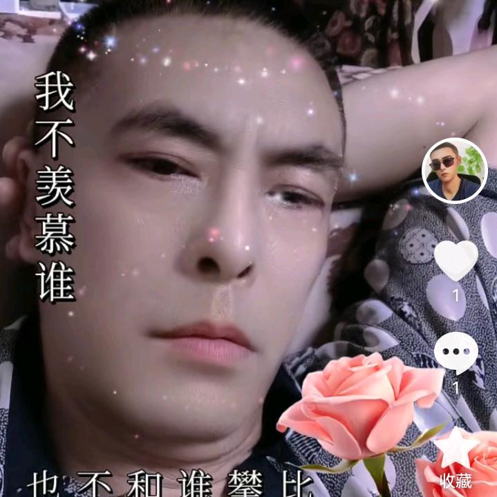 典雅