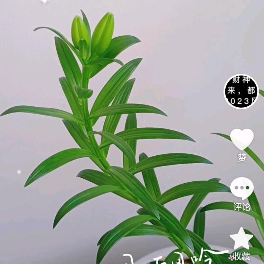 点