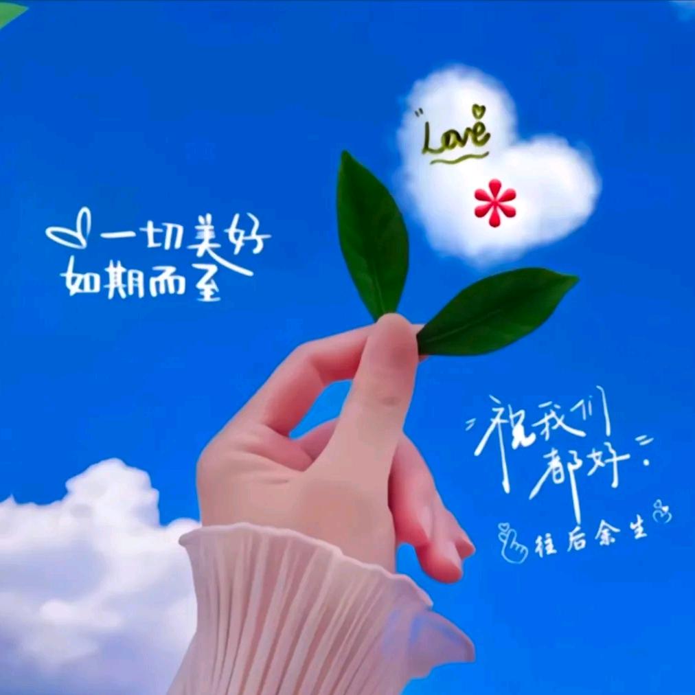 🌻好💕运💕加💕满🍭🍭🍭
