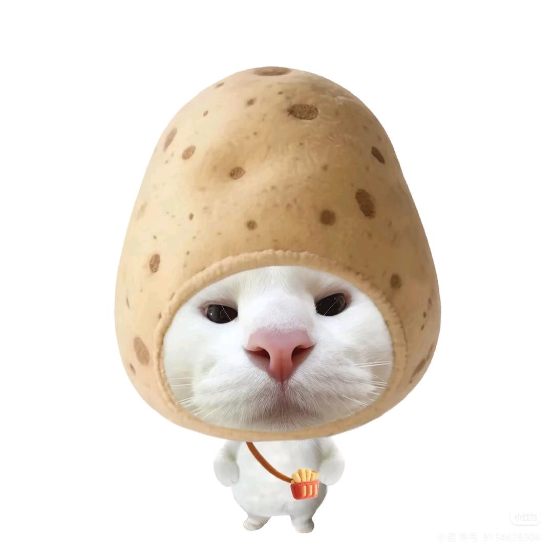 oio