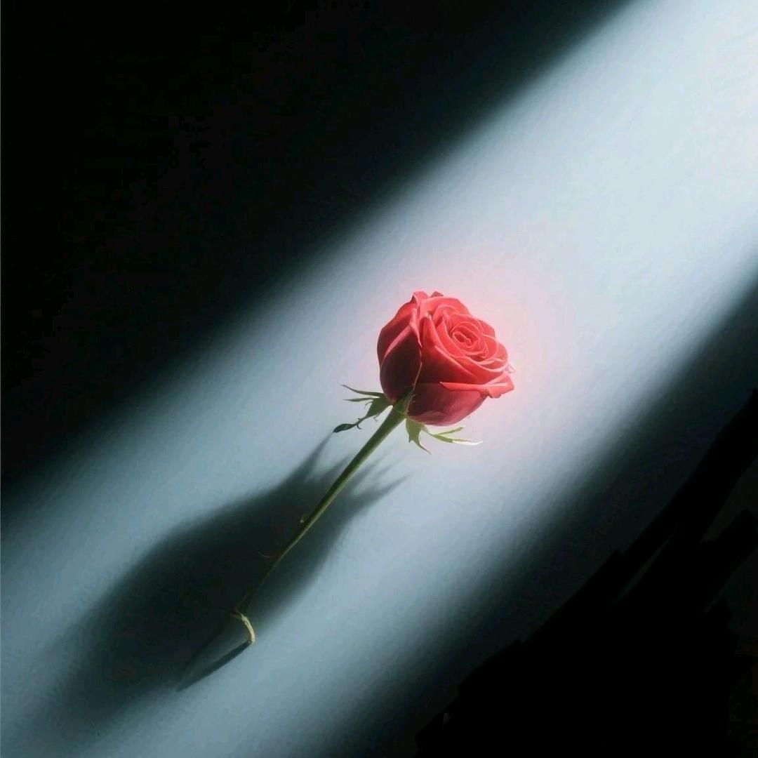 ල᭄鮮ꦿ᭄࿐ོ¹⁹⁸⑥