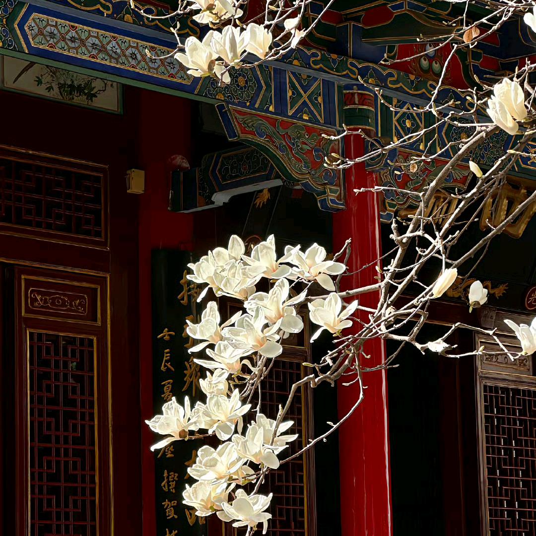 你在害羞什么😃