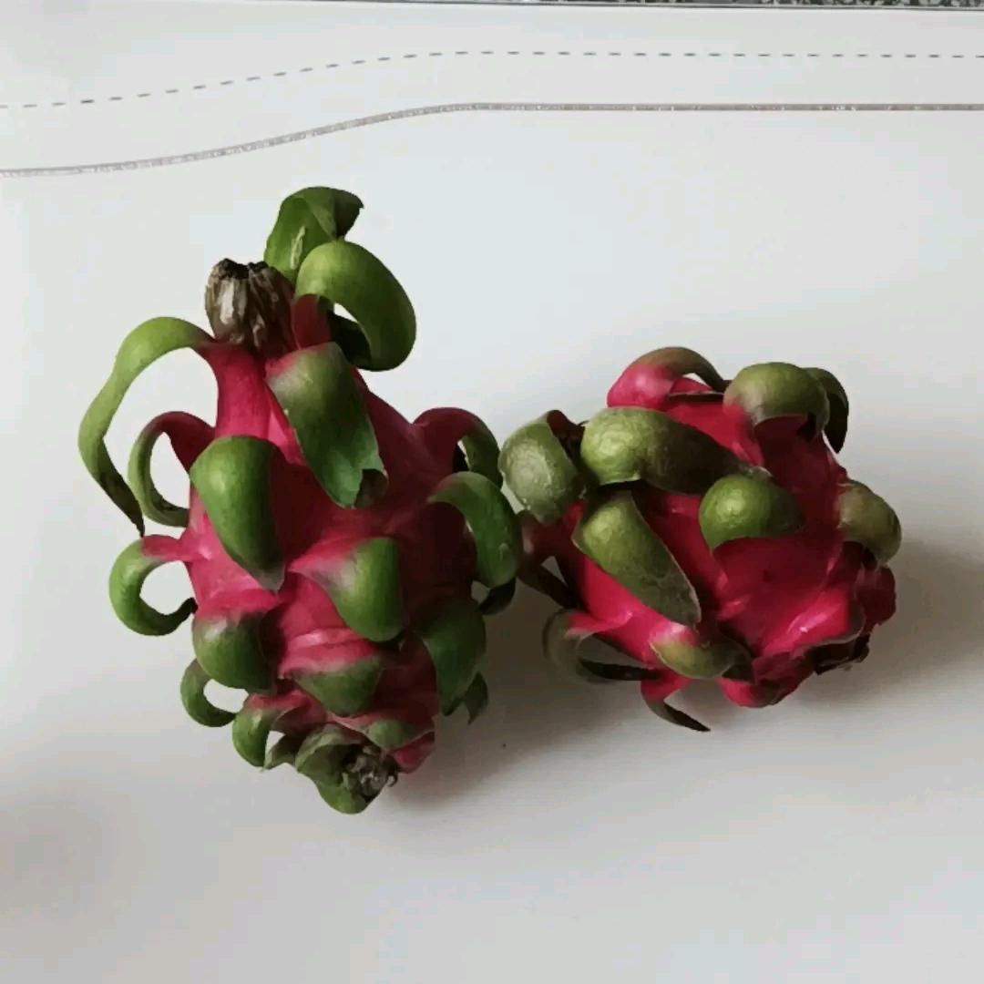 皇冠👑👑👑双儿