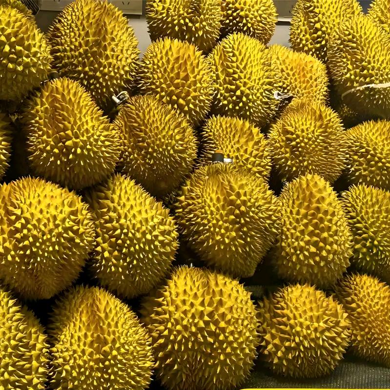 河南小王（榴莲批发零售）