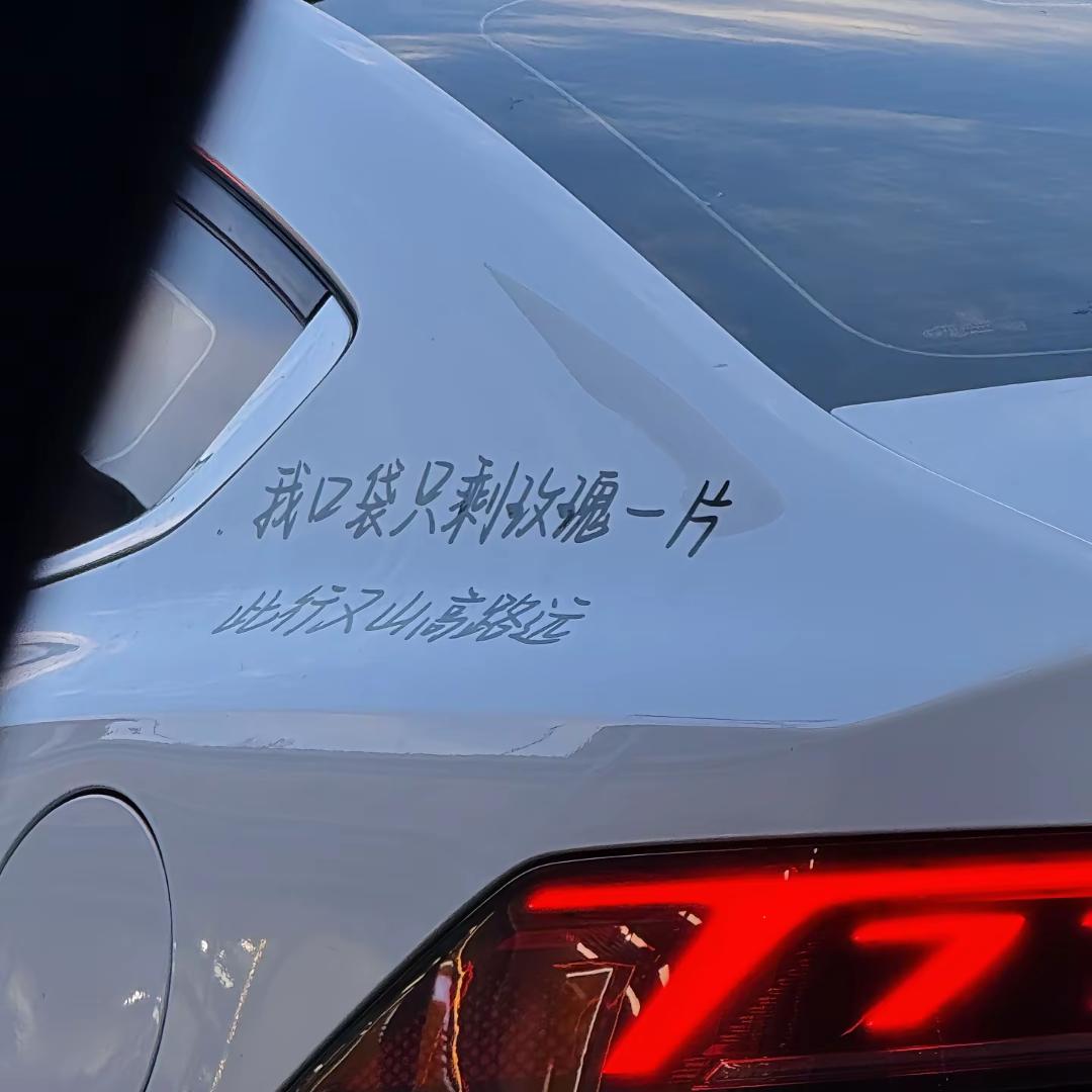 吹过风的蒲公英