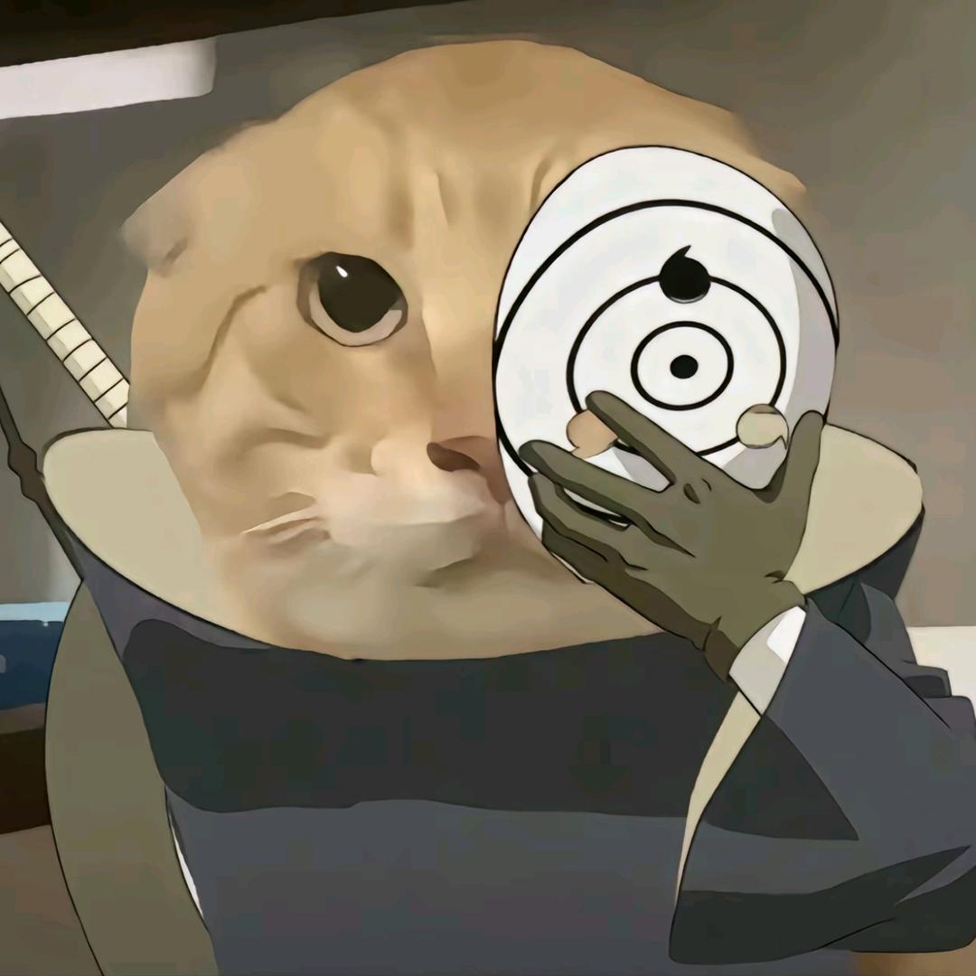 土豆小子66。