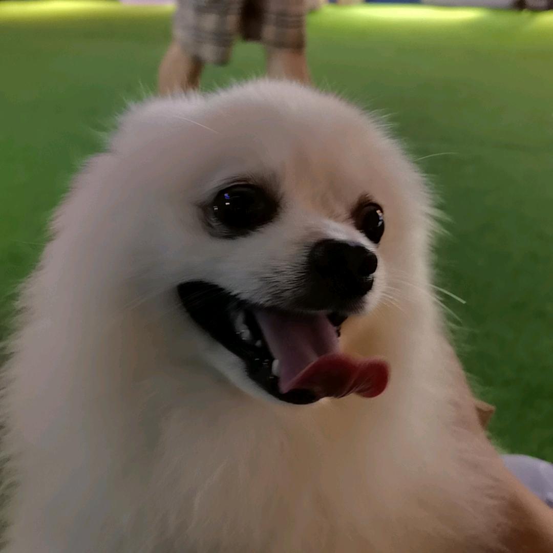 开心就好😊