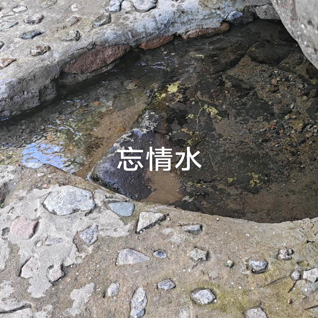 东丽采耳 预约