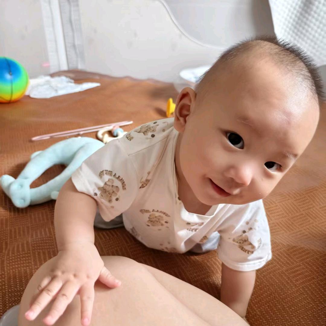 一只小小橙🍊摆摊-_-日记