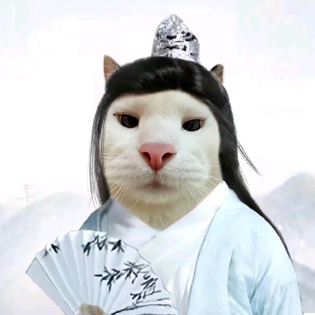 礼拜七.