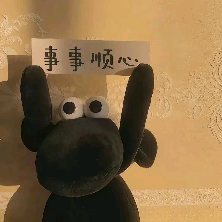 新崽