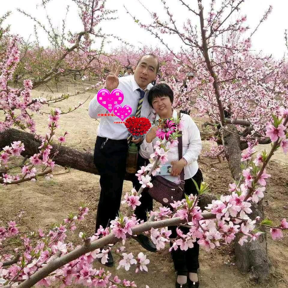 翠荣联姻{二}