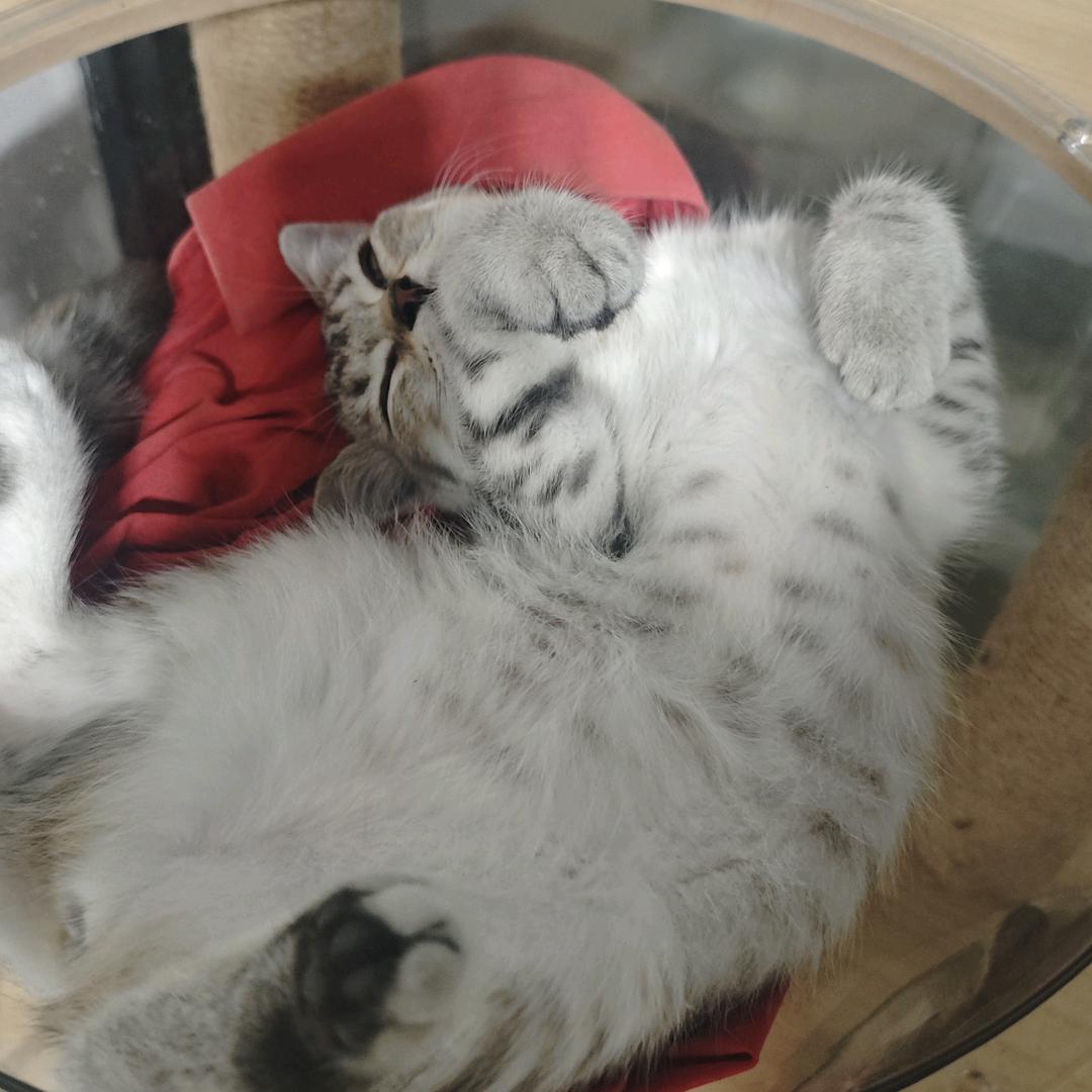 阴阳师左上角无敌挖土