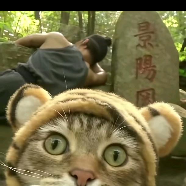 我把故事酿成酒