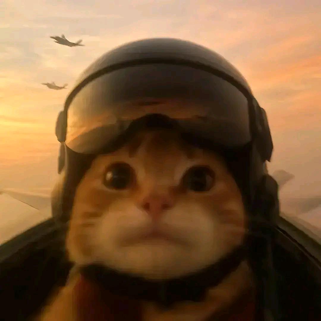 坐在蘤園看日落