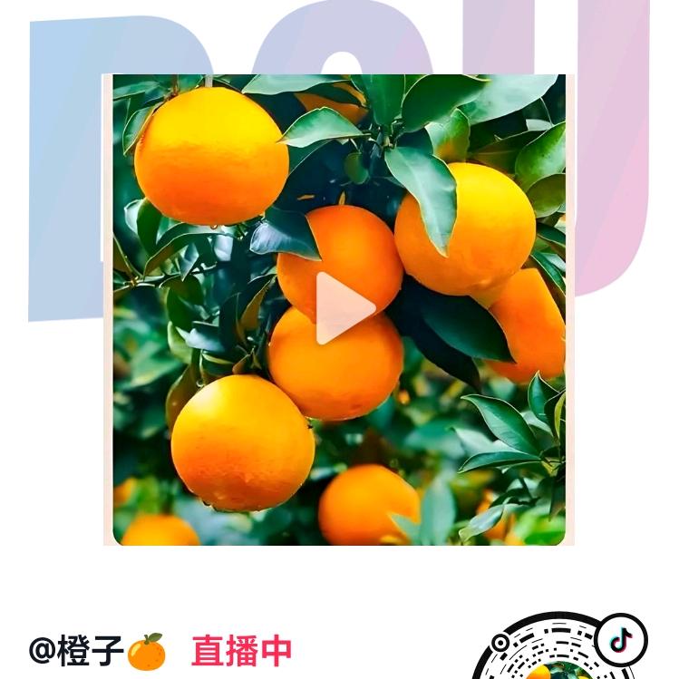 橙子🍊