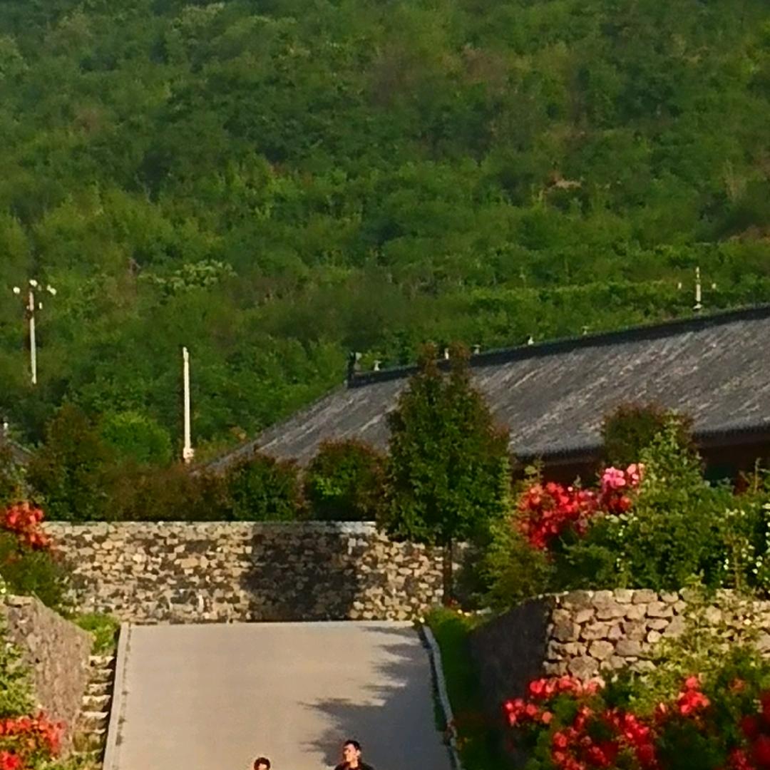 时来运转（薛哥）