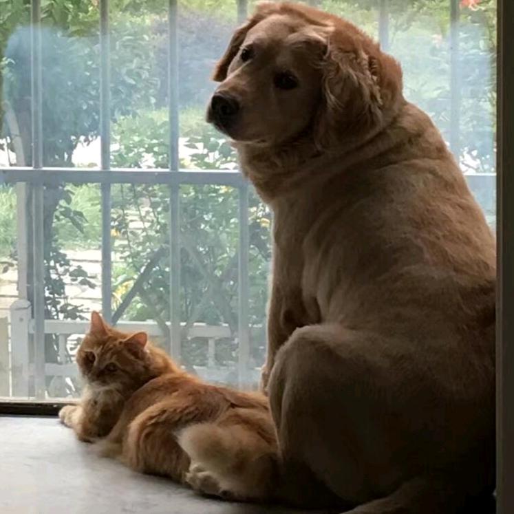 燃燃啊QAQ🌈（幸运咖北院门牛马版）