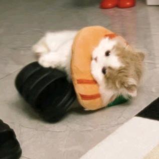 1277