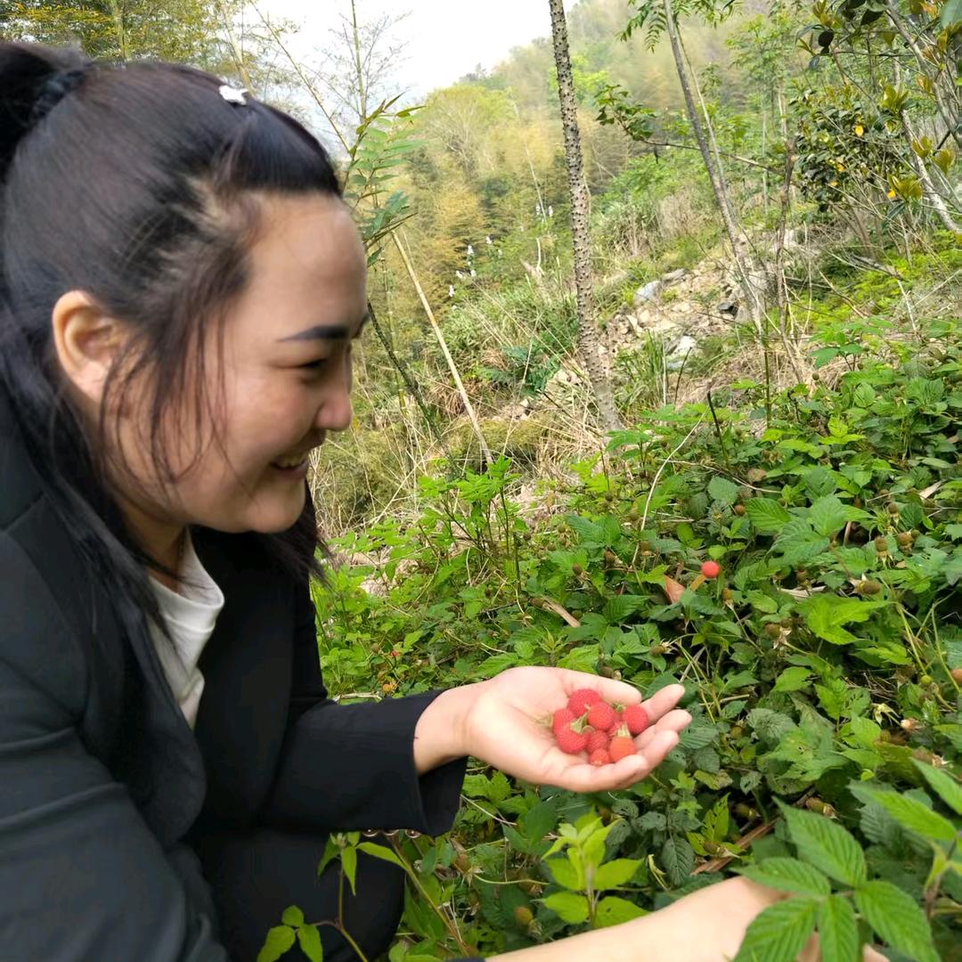 彩虹桥小猫咪