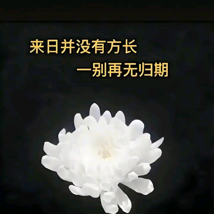 哦。豁