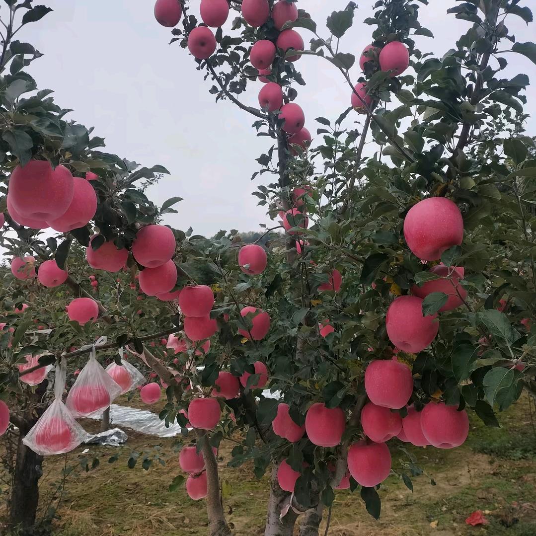 为了生活好好干吧