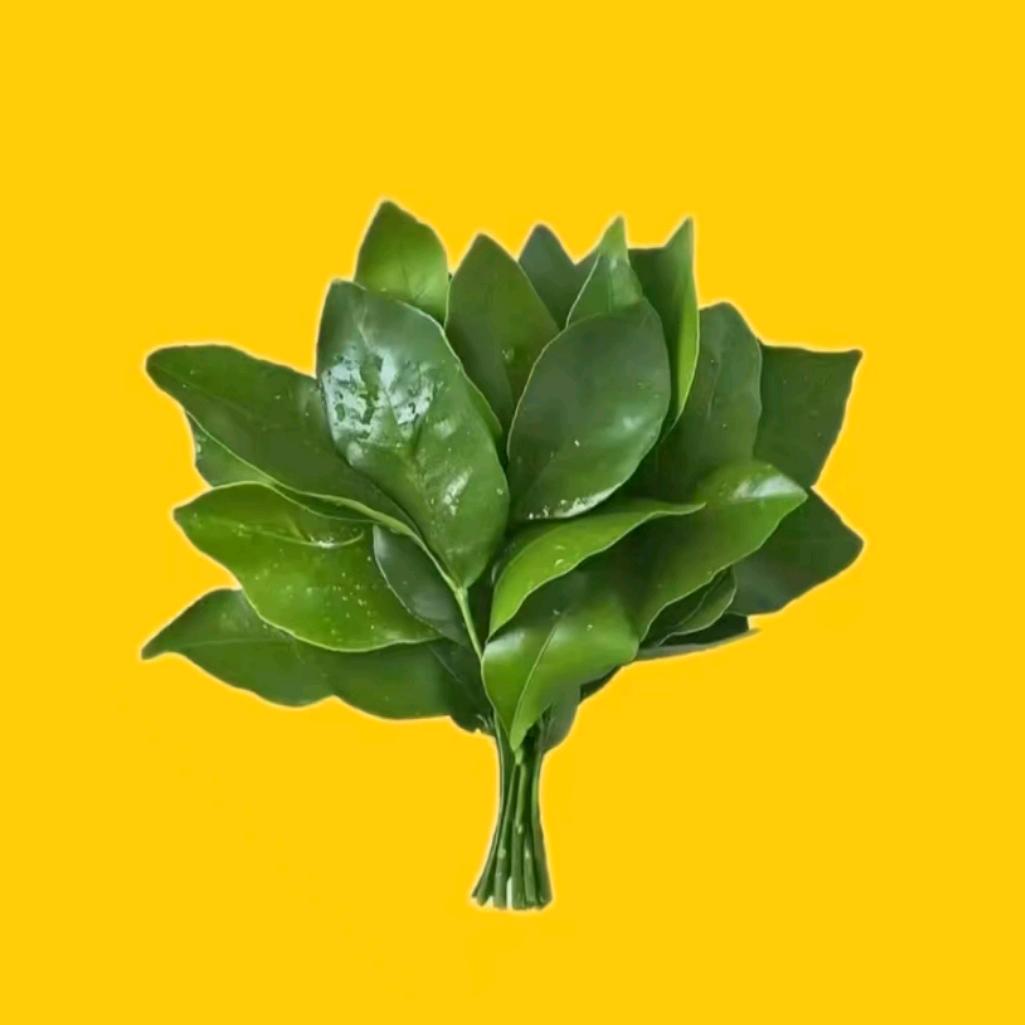 荔秋