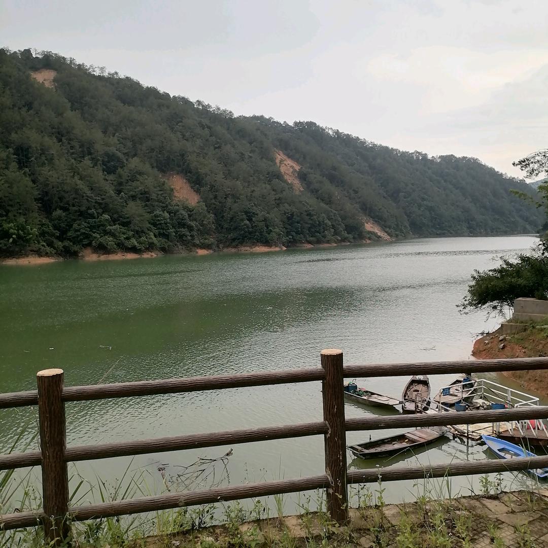 根～正宗长潭河鲜