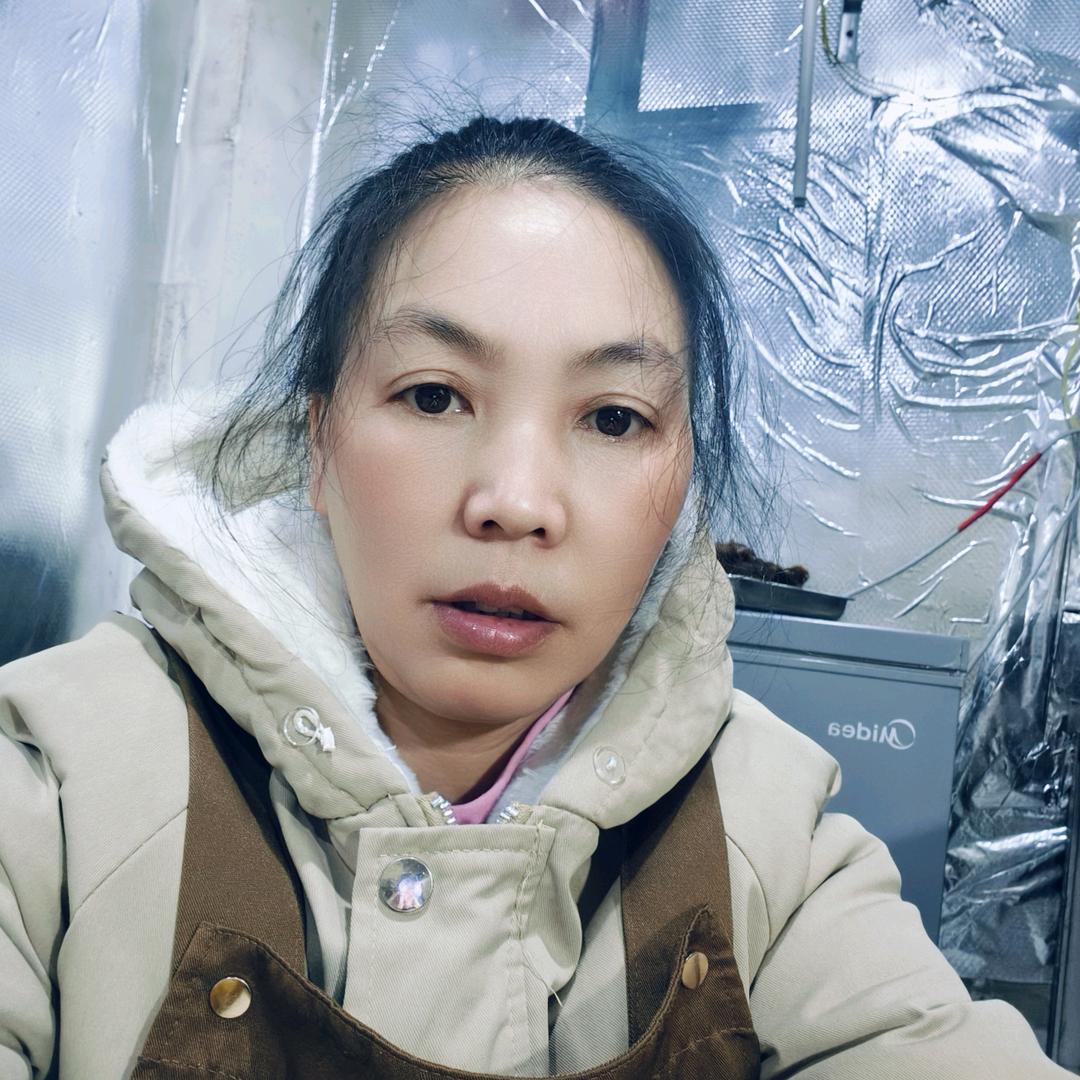 飞雪