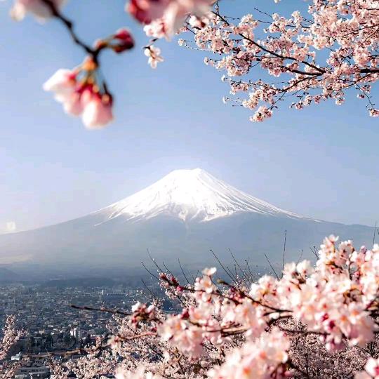 富士山🗻下