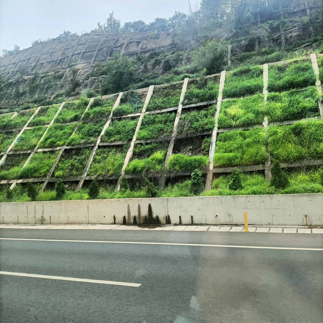 专业做狐狸、貉子、毛领