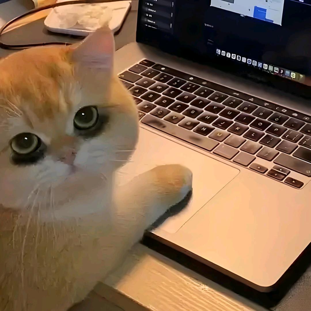 A抗震支架深化设计~