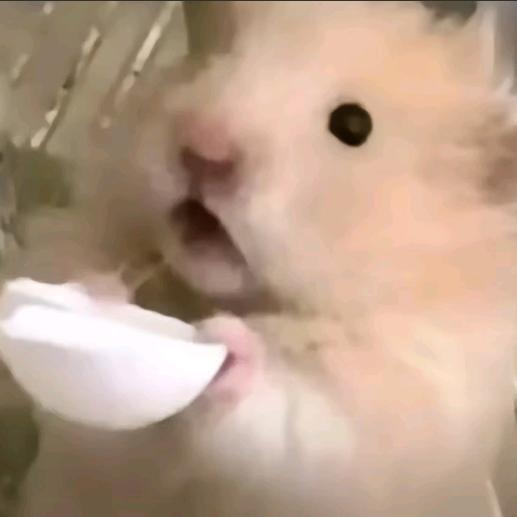 林林北