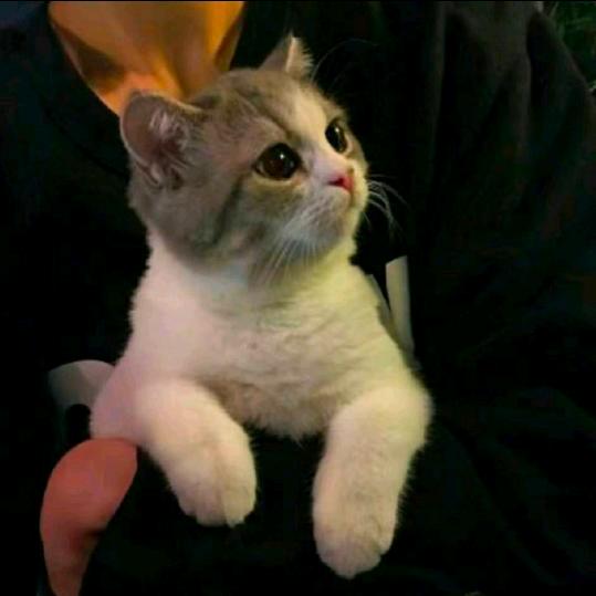 杰瑞:D