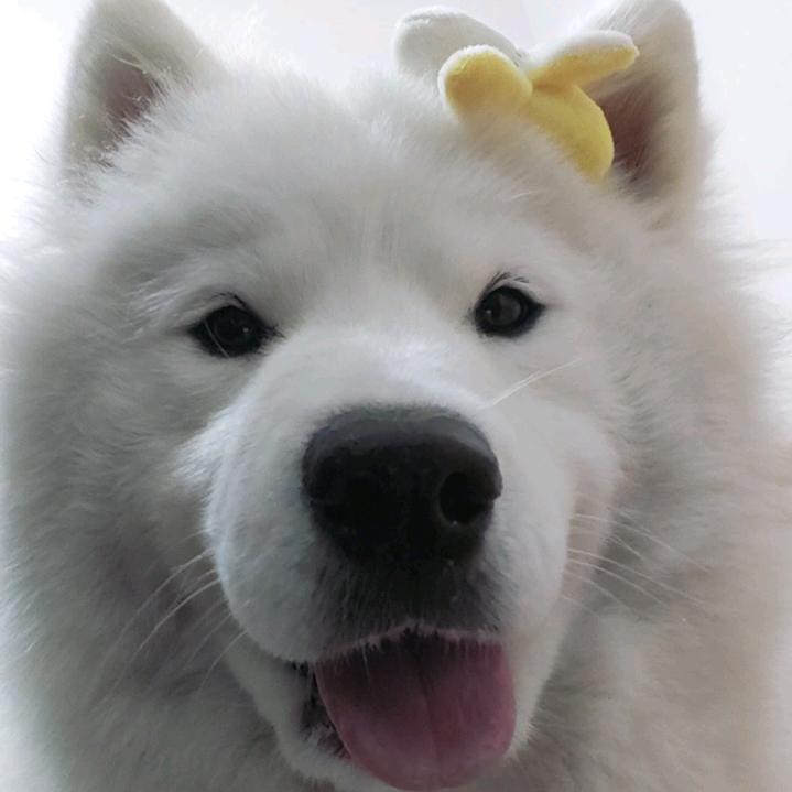 什么乱七八糟