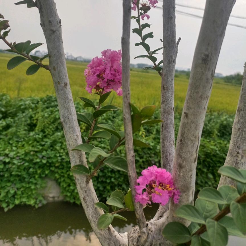 不可以再委屈自己。