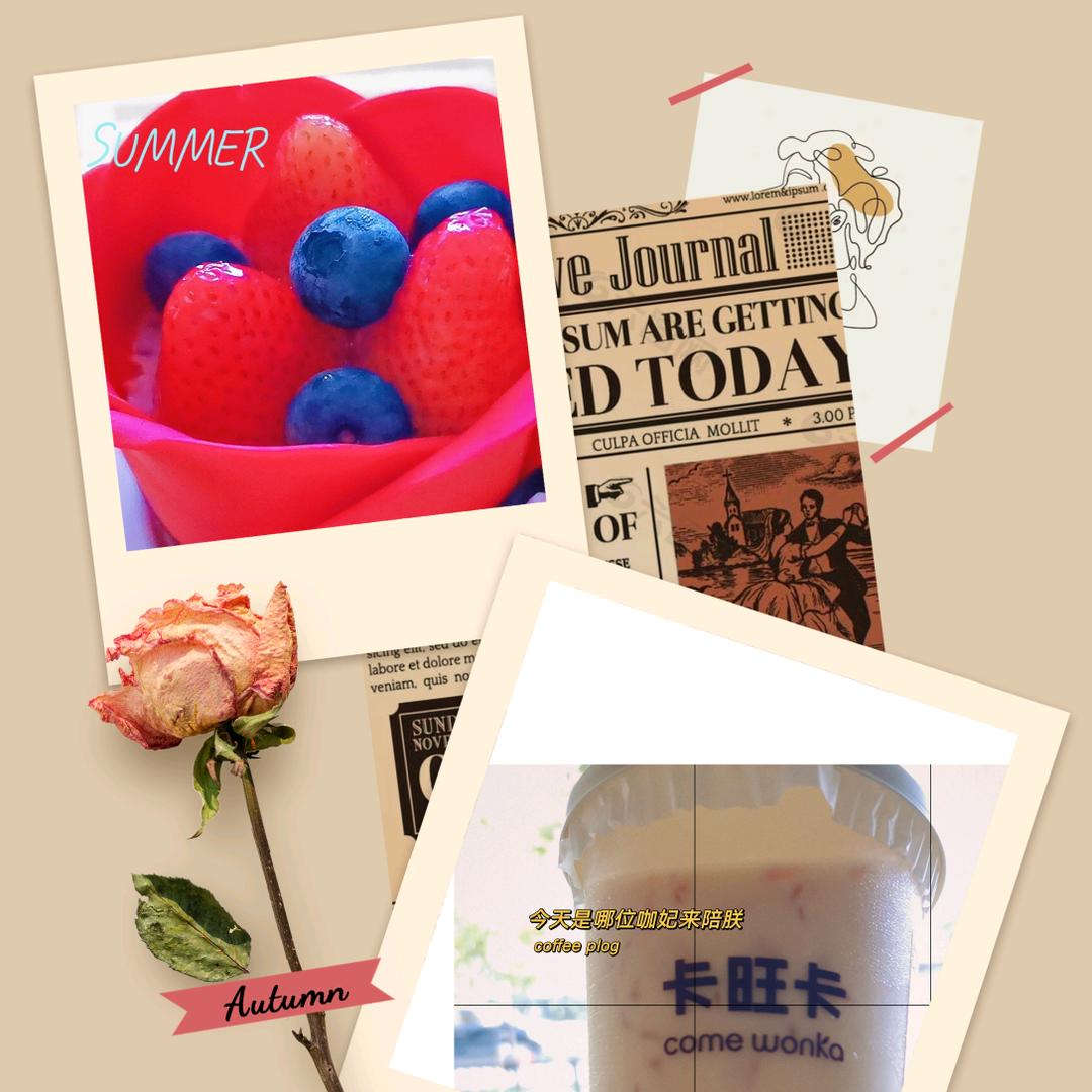 •.* ˚小薪亿亿𓅹°